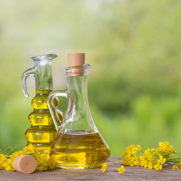 Canola Oil (Organic)-image